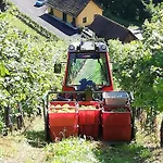 Weingut Stoff
