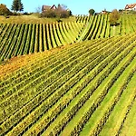 Couette-café Weingut Stoff