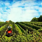 Couette-café Weingut Stoff Kitzeck im Sausal