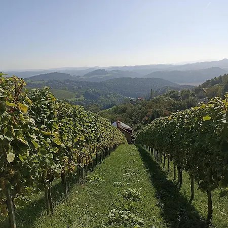 Oda ve Kahvaltı Weingut Stoff