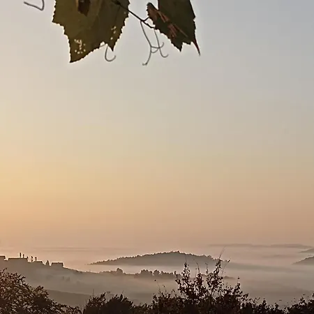 Weingut Stoff Bed & Breakfast Kitzeck im Sausal