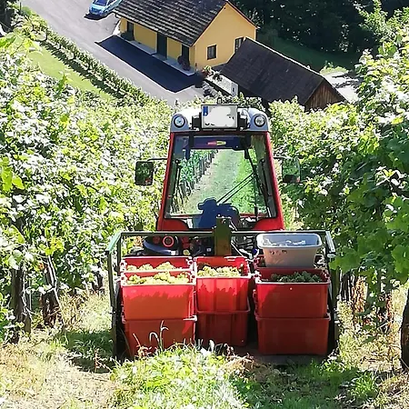 Weingut Stoff