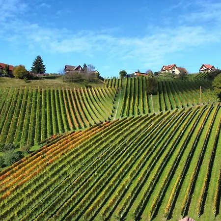 Weingut Stoff Oda ve Kahvaltı Kitzeck im Sausal