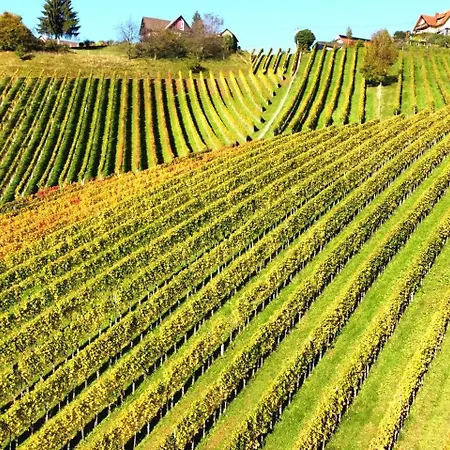 Bed & Breakfast Weingut Stoff