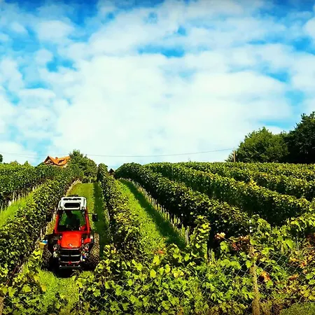 Frühstückspension Weingut Stoff Kitzeck im Sausal