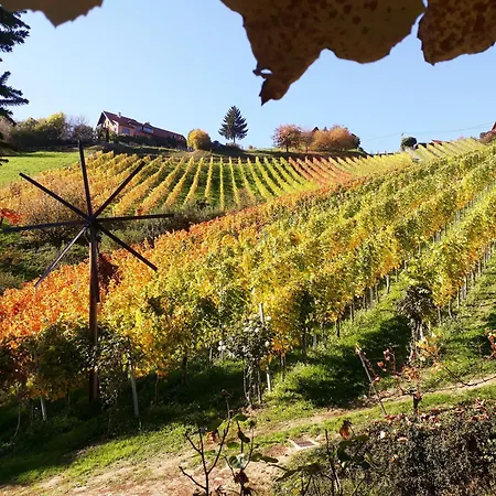 Oda ve Kahvaltı Weingut Stoff