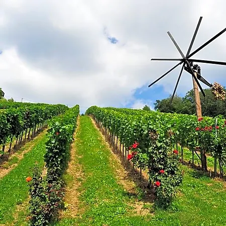 Bed and breakfast Weingut Stoff Kitzeck im Sausal