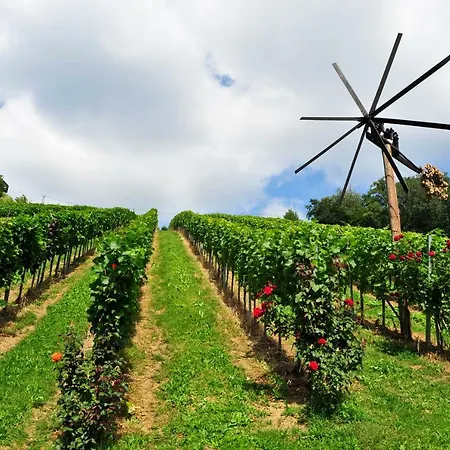 Weingut Stoff Bed & Breakfast *