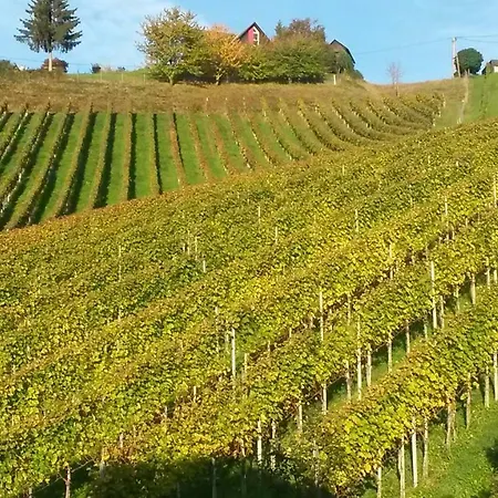 Bed & Breakfast Weingut Stoff Kitzeck im Sausal