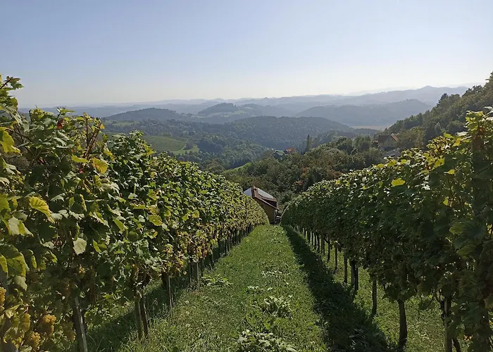 Bed & Breakfast Weingut Stoff