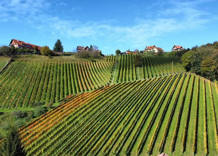 Weingut Stoff Bed & Breakfast Kitzeck im Sausal