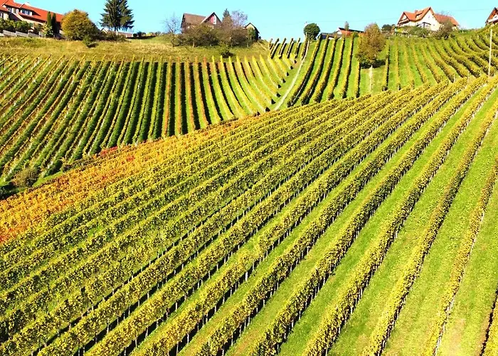 Bed & Breakfast Weingut Stoff