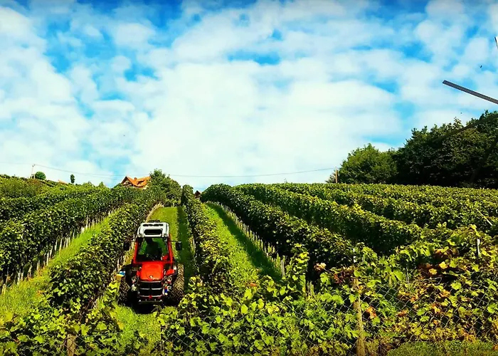 Frühstückspension Weingut Stoff Kitzeck im Sausal