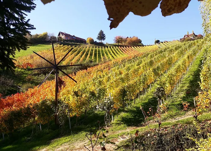 Bed & Breakfast Weingut Stoff