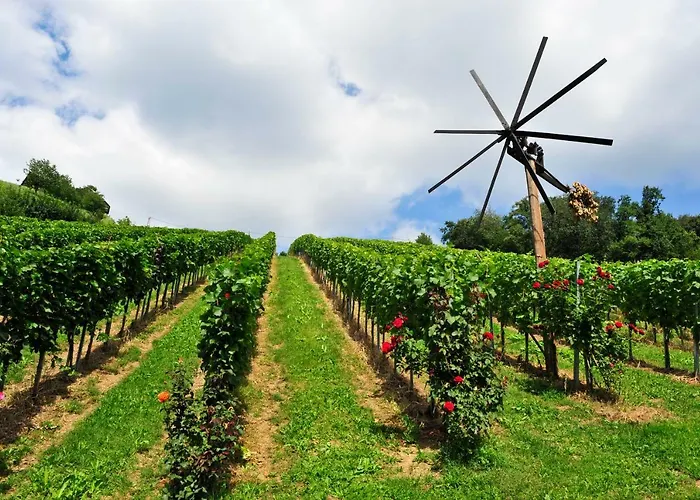 Weingut Stoff Bed & Breakfast 3*