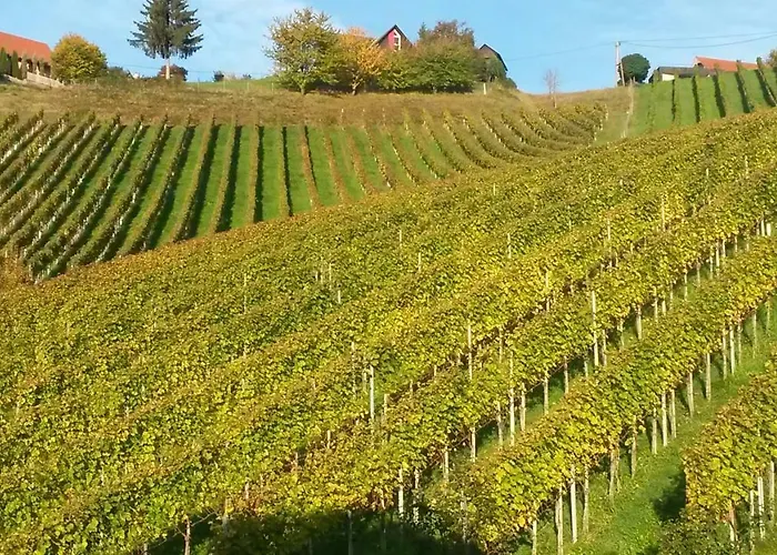 Bed & Breakfast Weingut Stoff Kitzeck im Sausal